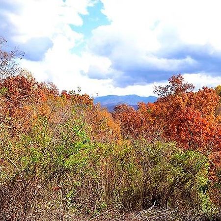 Burnin' Love Gatlinburg Exterior photo