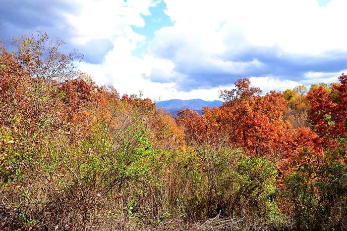 Burnin' Love Gatlinburg Exterior photo